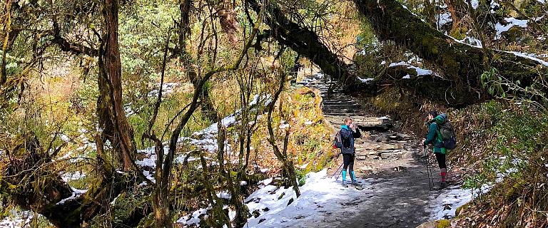 A Guide to Japan's Hiking