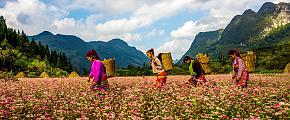 Take A Ha Giang Loop Adventure