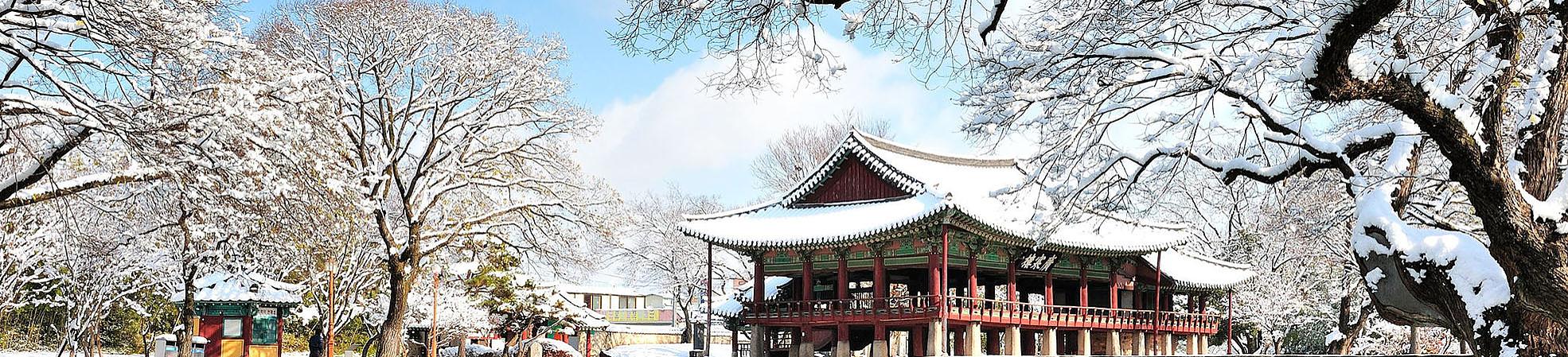What to Do in Each Season in South Korea