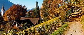 Best Places to Travel in Autumn