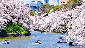 Cruise along the Sumida River, Japan