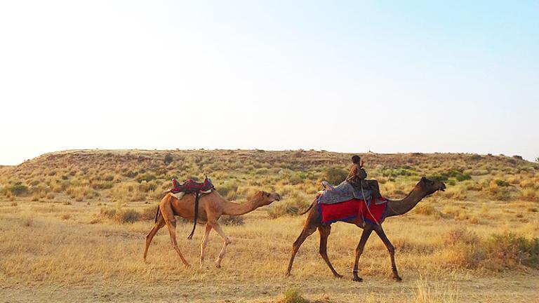 Jaisalmer, India