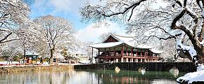 What to Do in Each Season in South Korea