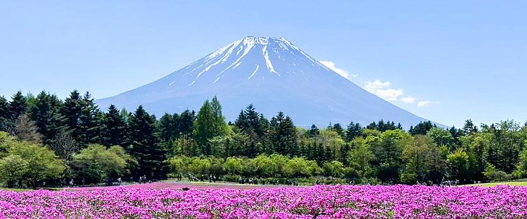 Mt. Fuji
