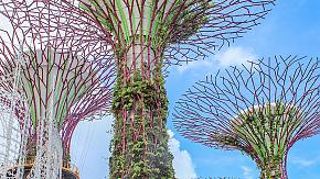Gardens by the Bay, Singapore