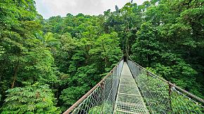 Rainforest, Costa Rica