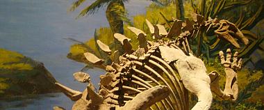 Zigong Dinosaur Museum