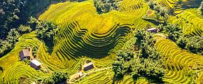 Sapa Travel Guide