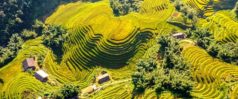 Sapa Travel Guide