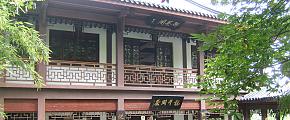 Longjing Tea (Dragon Well Tea)