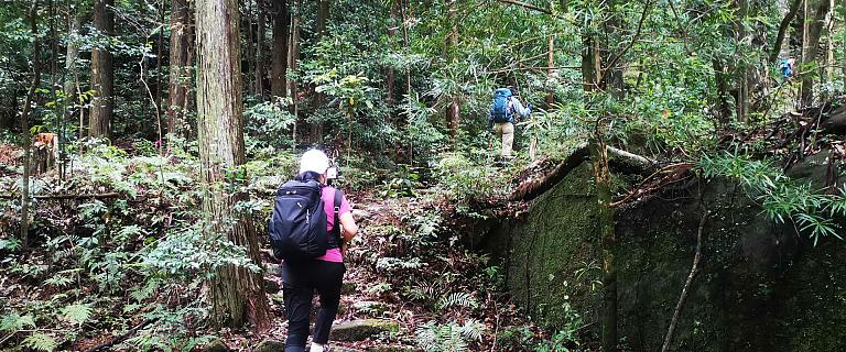Kumano Kodo