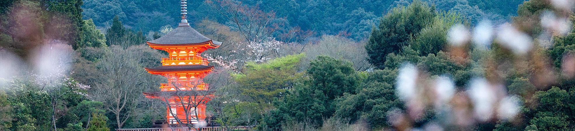 Kiyomizu-dera with Cherry Blossom