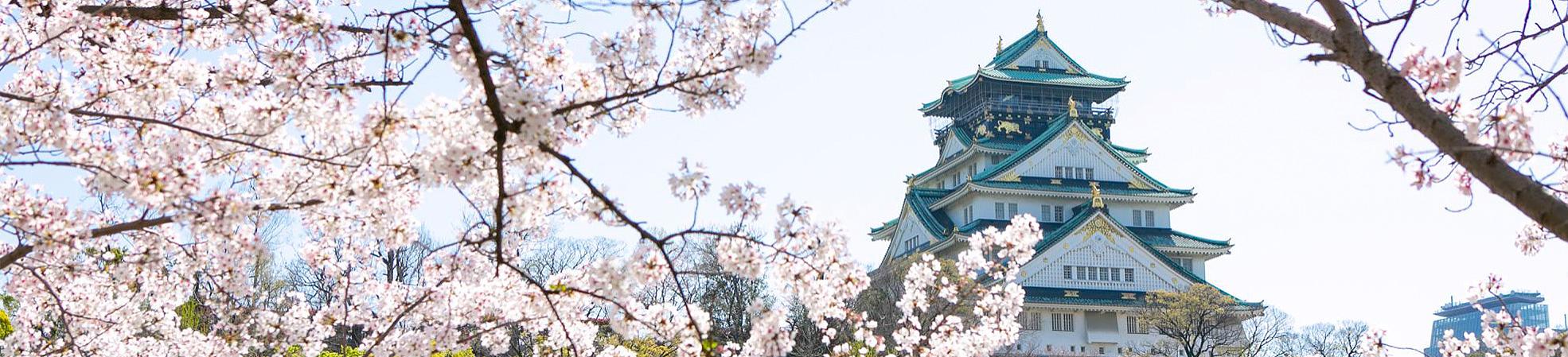 Osaka Castle with Cherry Blossoms