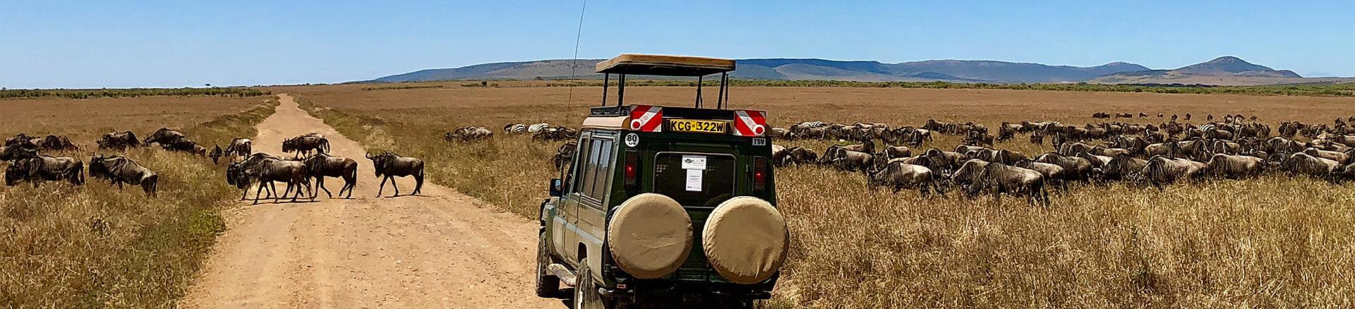 Great Migration, Tanzania Safari