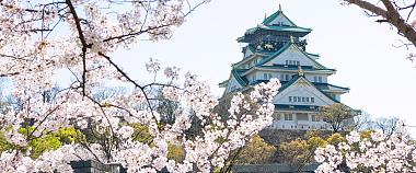 Osaka Castle with Cherry Blossoms