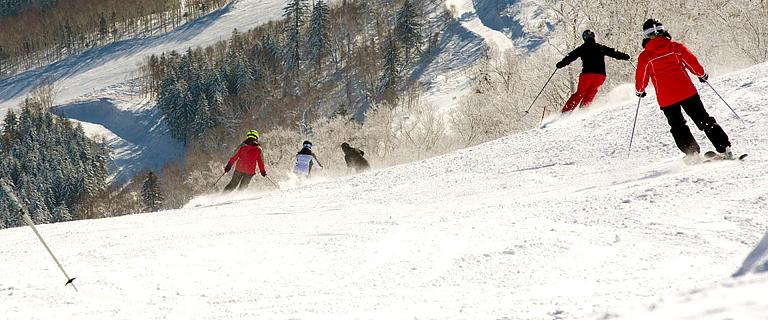 Niseko Ski Resort (Niseko United) Travel Guide