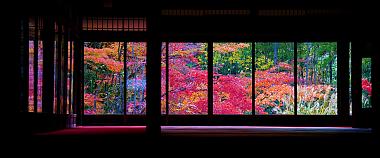 Fall Foliage in Japan