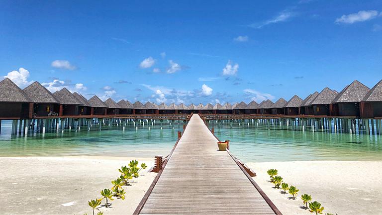 Sunny Maldives