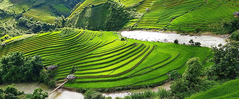 Vietnam in May