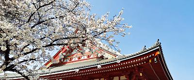 Travel to Japan in February 2025: Top Places, Festivals, Tips