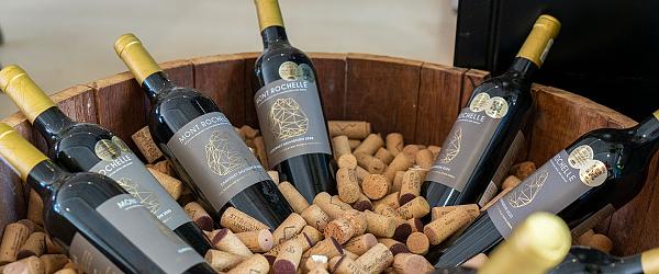 How to Plan A South Africa Wine Tour