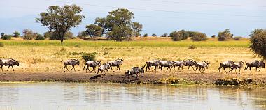 Sabi Sand Game Reserve