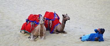 Jaisalmer Camel Ride