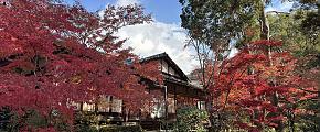 Japan in September