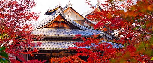 Autumn in Japan