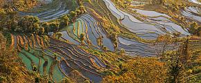 Yuanyang Rice Terraces