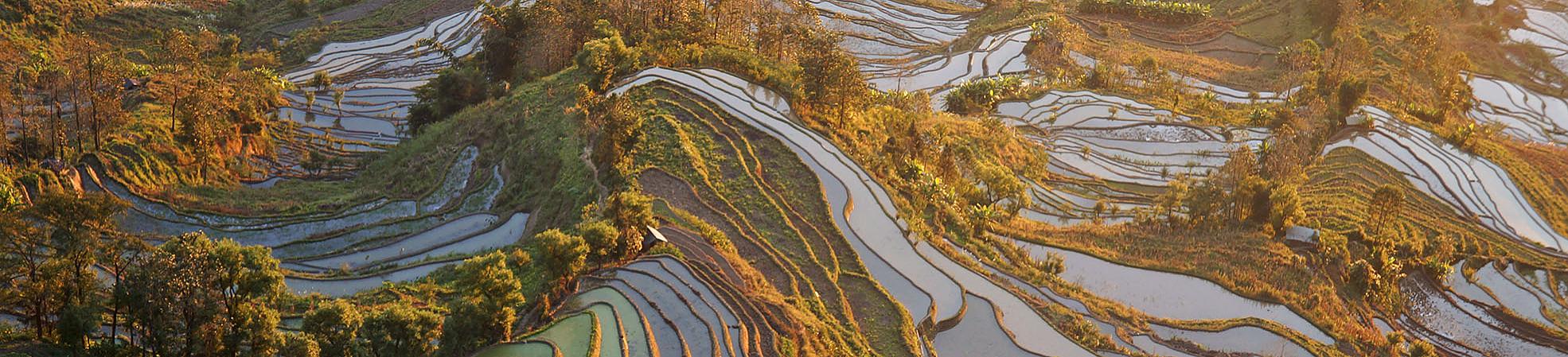 Yuanyang Rice Terraces