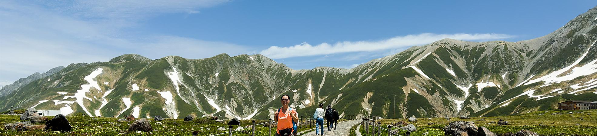 Japanese Alpine