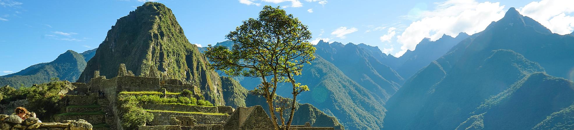 Machu Picchu