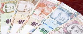 Peruvian Currency Sol