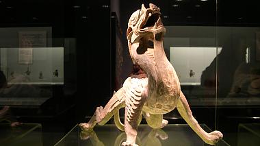 Explore the Shanghai Museum: Your Essential Visitor's Guide