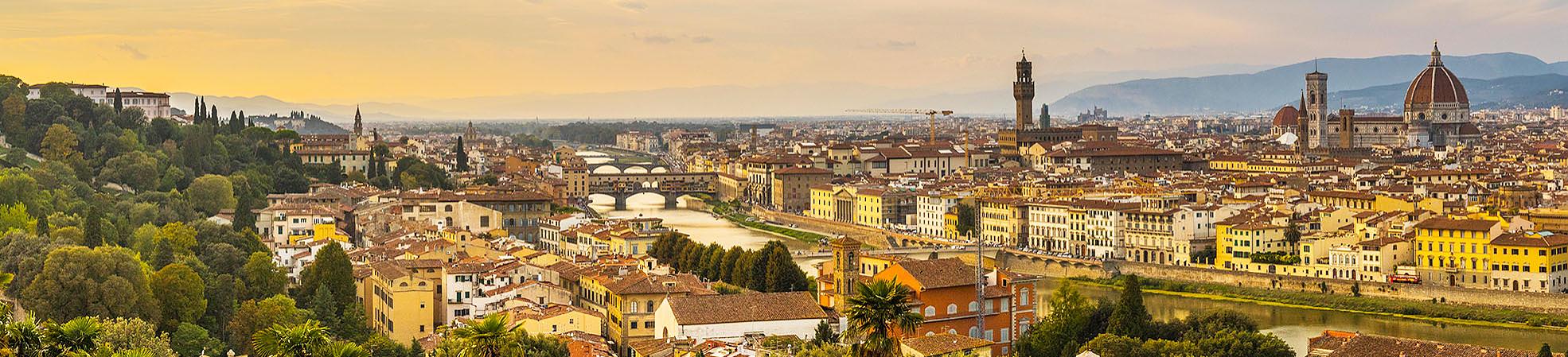 Bird-view of Florence