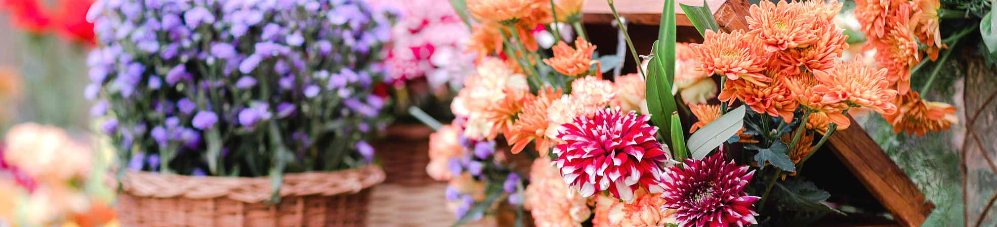 Madeira Flower Festival, Portugal