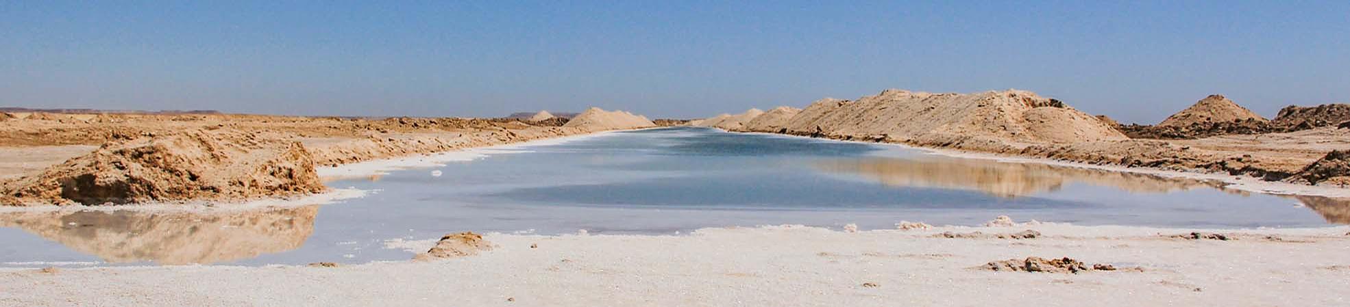 Oasis in Egypt
