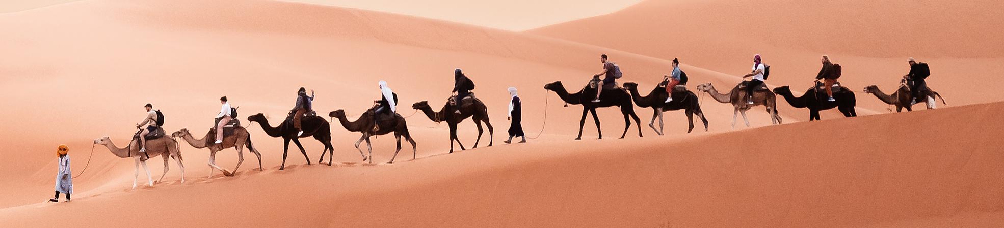 Camel Trek in the Sahara Desert