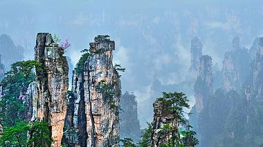 Flowers bloom on the Hallelujah mountains