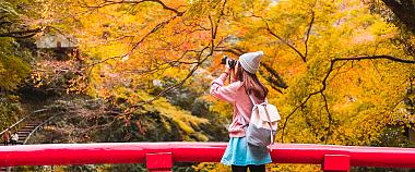 10-Day Fall Foliage Itineraries in Japan: 3 Top Routes