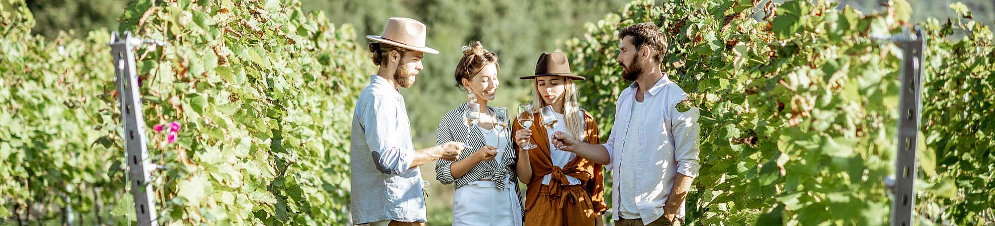 Wine Tasting in Portugal's Vineyard