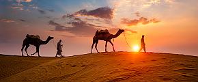 India Rajasthan Thar Desert Sunset
