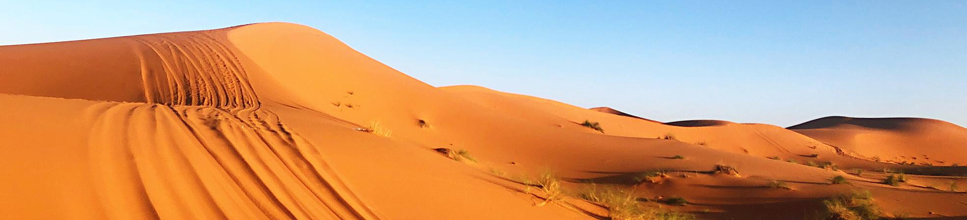 Sahara Desert