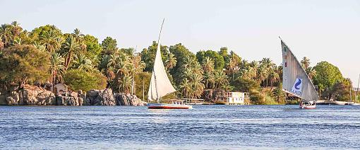 Felucca Sailing on the Nile