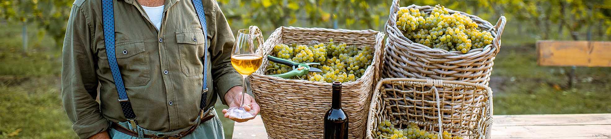 Greece in October 2025: Guide for an Autumn Tour