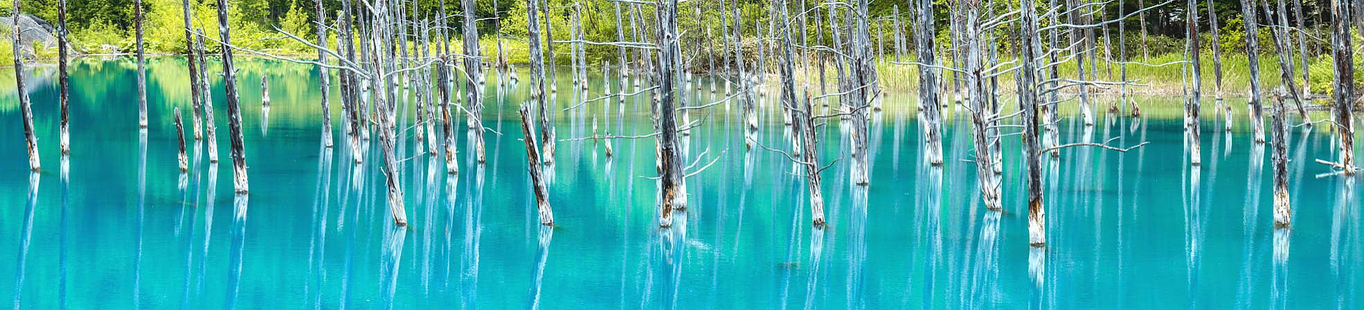 Summer Biei Blue Pond in Hokkaido
