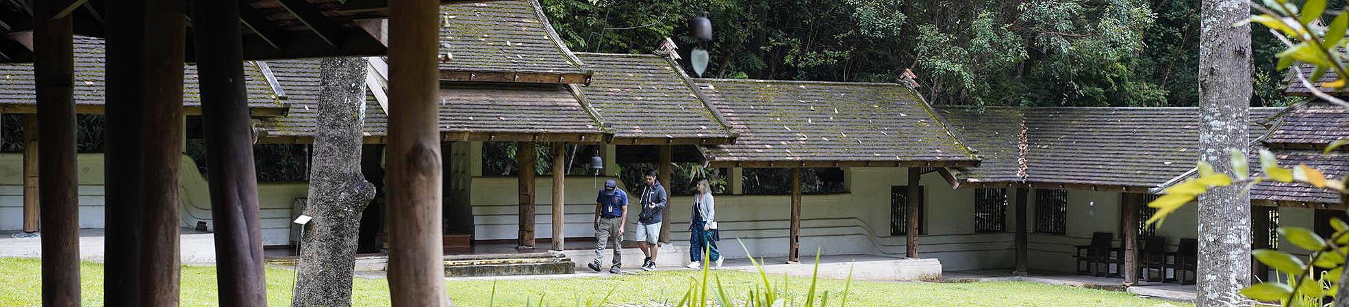 Meditation in Thailand