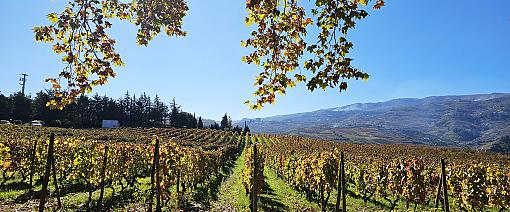 Duoro Valley in October