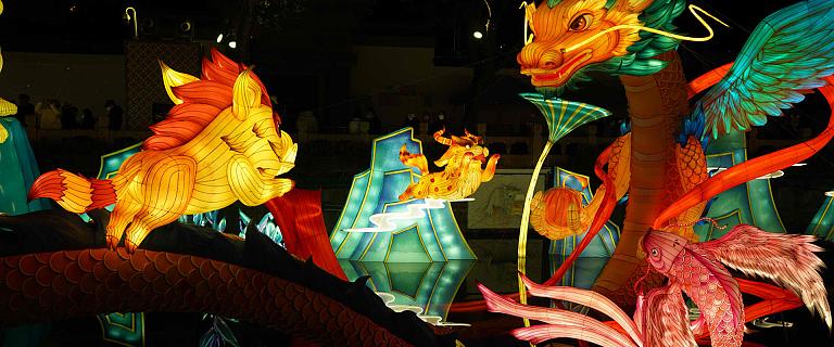 Traditional Paper Lanterns in Animal Shapes